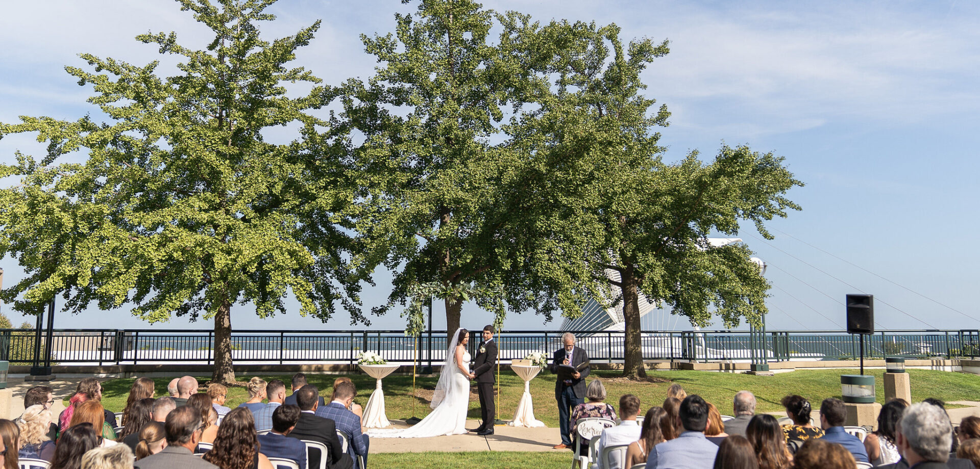 Outdoor wedding ceremony before beautiful tree